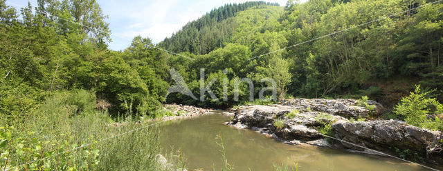 Parc national des Cévennes