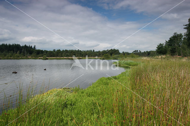 Vressels Bos