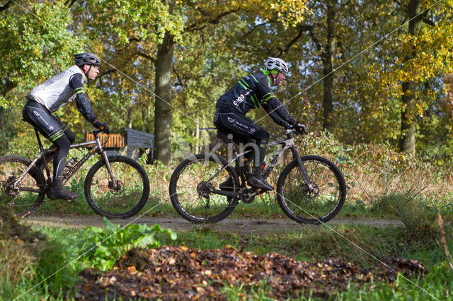 Nationaal Park Dwingelderveld