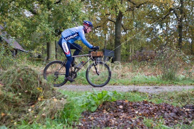 Nationaal Park Dwingelderveld