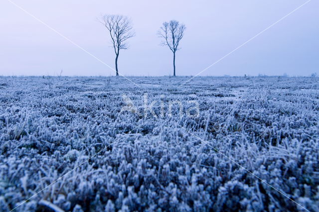 Nationaal Park Dwingelderveld