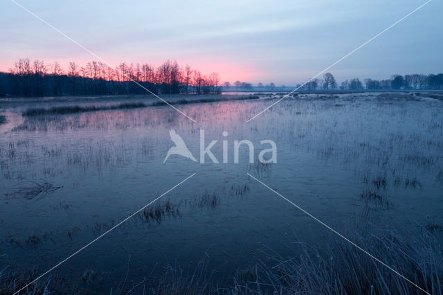 Nationaal Park Dwingelderveld