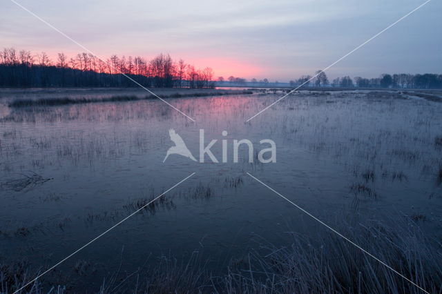 Nationaal Park Dwingelderveld