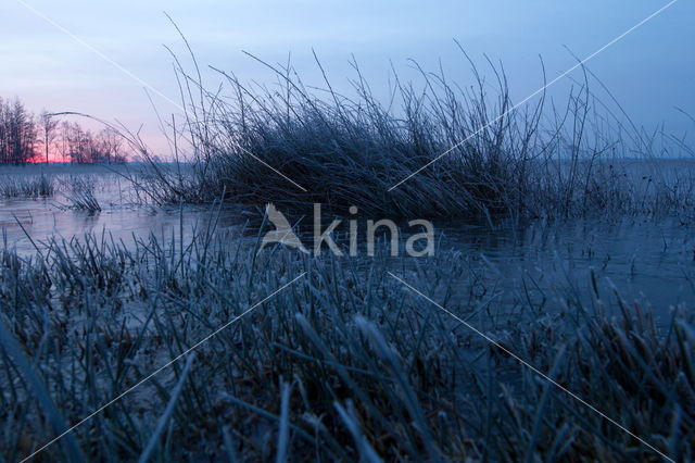 National Park Dwingelderveld