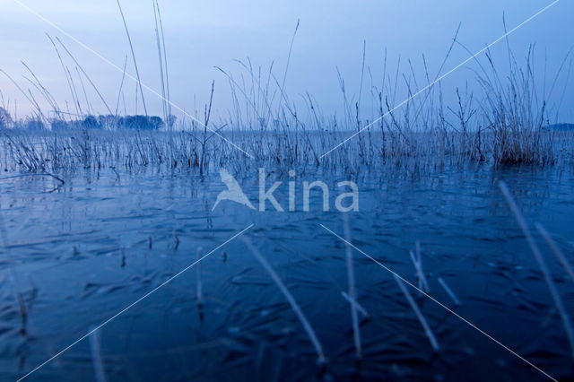 Nationaal Park Dwingelderveld