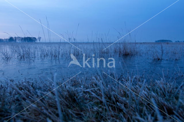 Nationaal Park Dwingelderveld