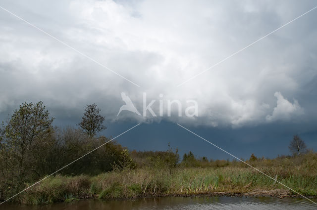 Nationaal Park Weerribben-Wieden