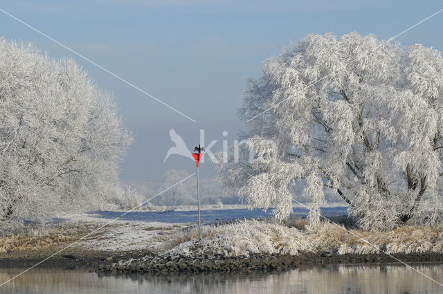 IJssel