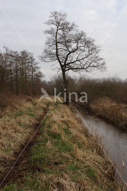 Grenspark Kempen-Broek