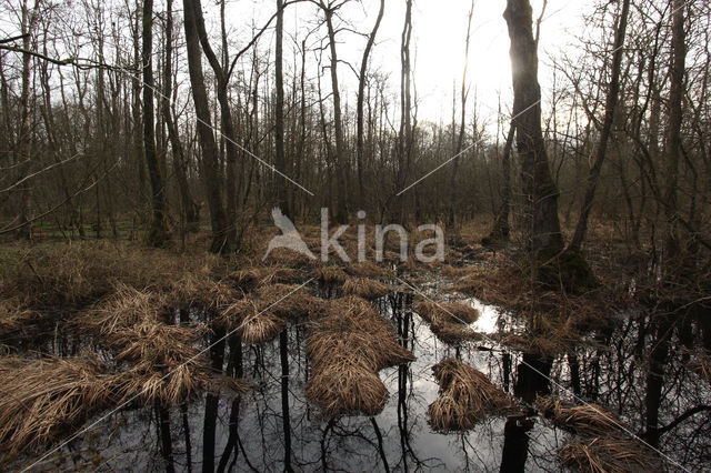 Borderpark Kempen-Broek