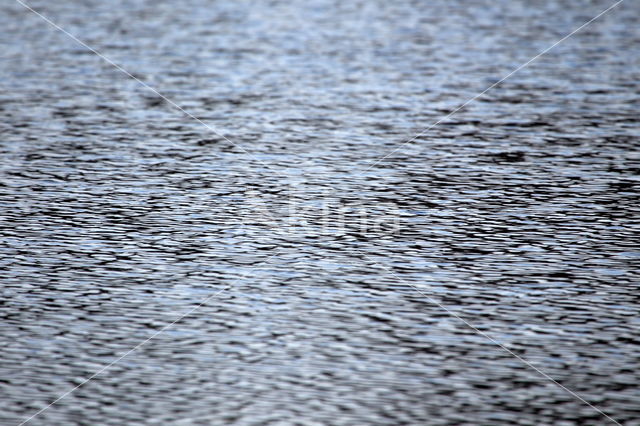 Nationaal Park Dwingelderveld