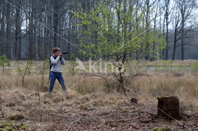 Nationaal Park Dwingelderveld