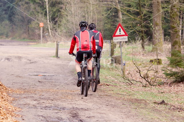 Nationaal Park Dwingelderveld