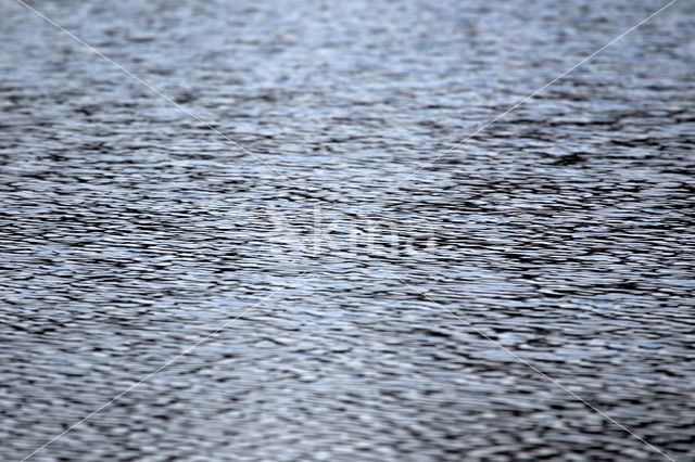 Nationaal Park Dwingelderveld