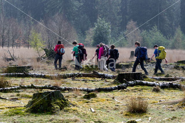 Nationaal Park Dwingelderveld