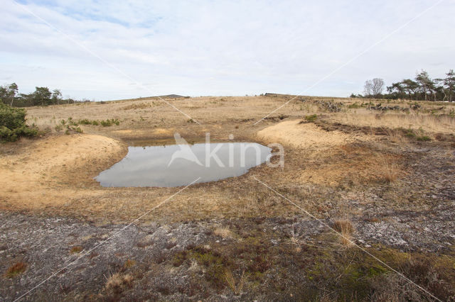 Landgoed Valkenhorst