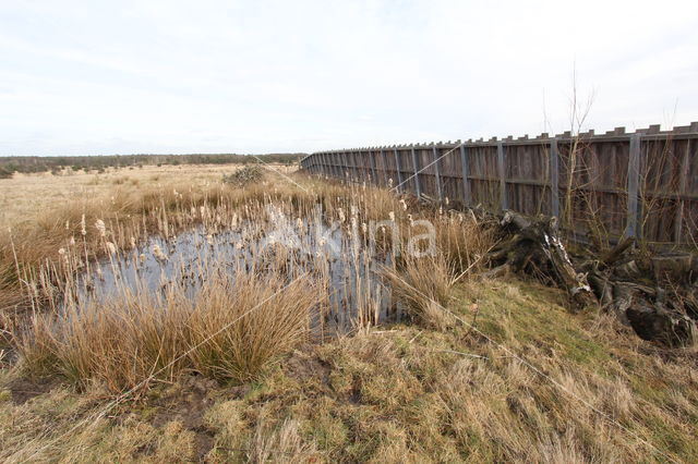 Groote Heide