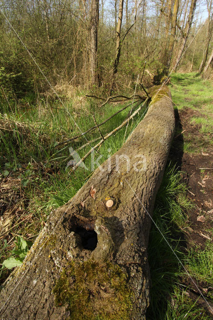 Grenspark Kempen-Broek