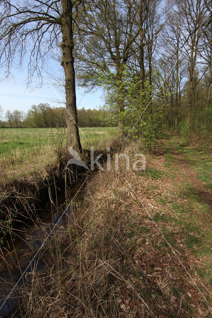 Grenspark Kempen-Broek