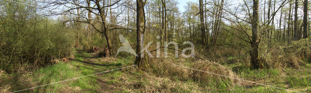 Grenspark Kempen-Broek