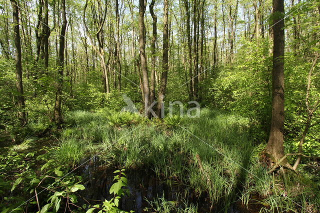Borderpark Kempen-Broek