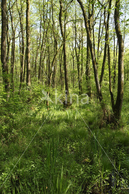 Borderpark Kempen-Broek
