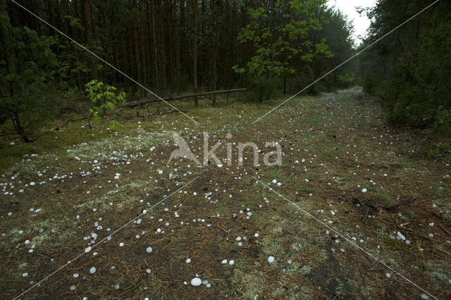 Biebrza National Park