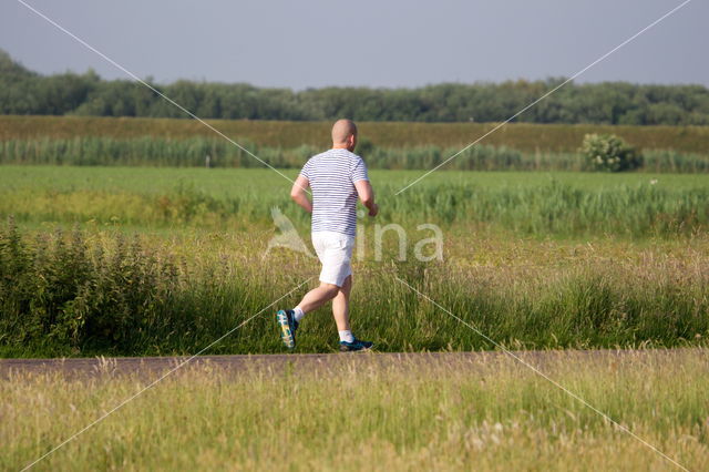 National Park Schiermonnikoog