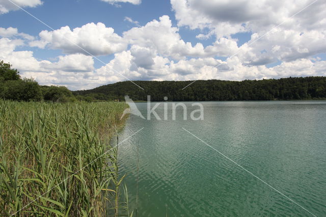 Lac de Narlay