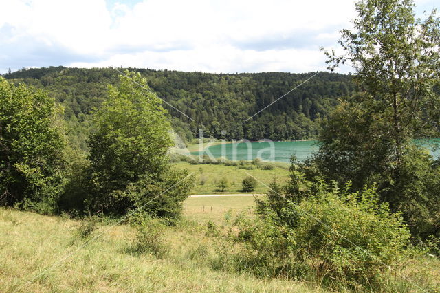 Lac de Narlay