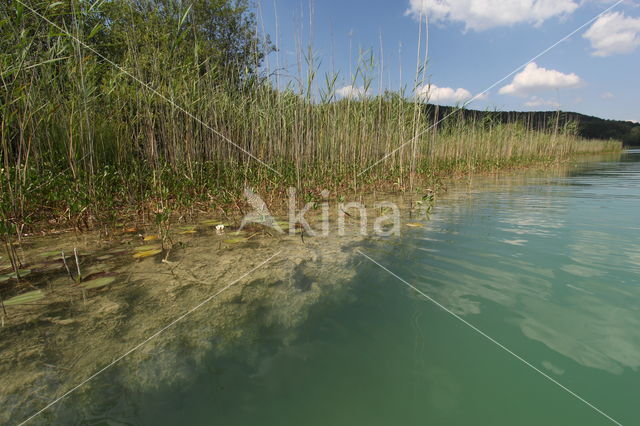 Lac de Narlay