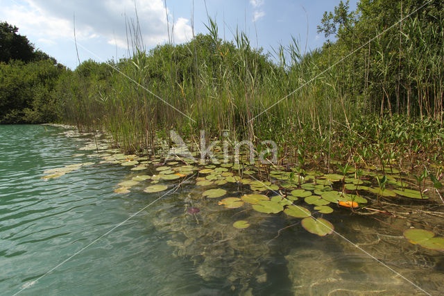 Lac de Narlay