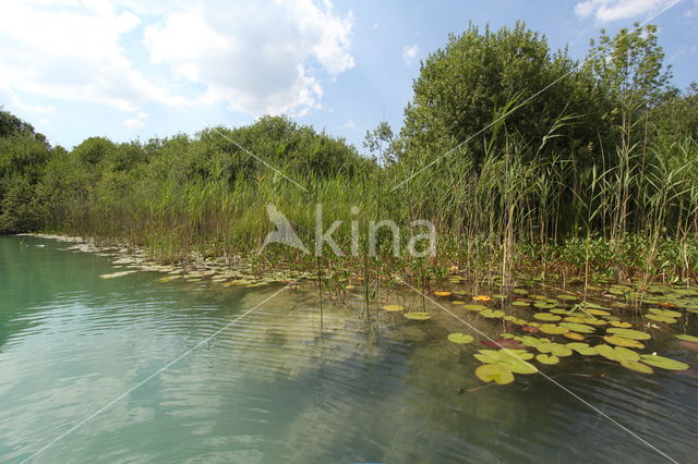 Lac de Narlay