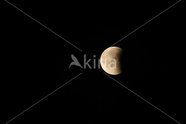 lunar eclipse