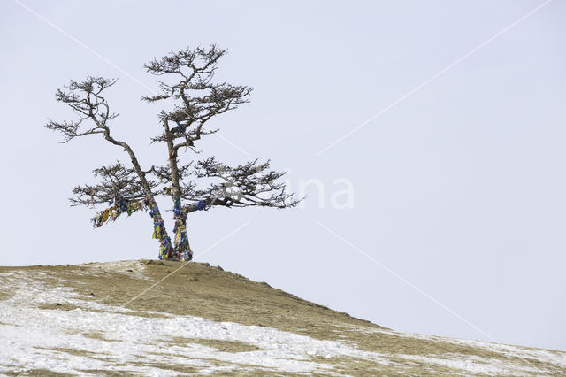 Baikalmeer