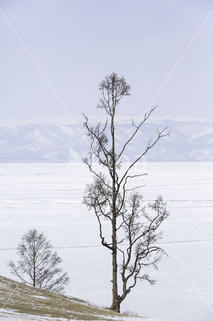 Baikalmeer