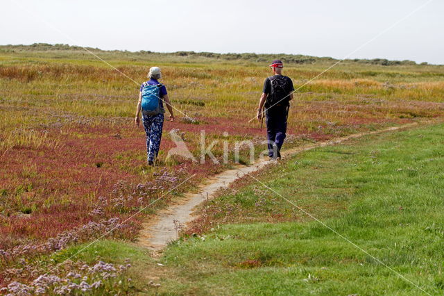 National Park Schiermonnikoog