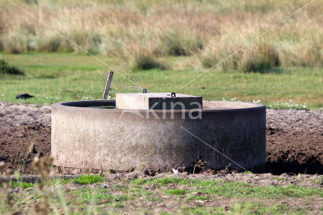 Nationaal park Schiermonnikoog