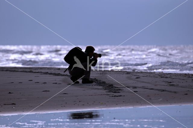 National Park Schiermonnikoog