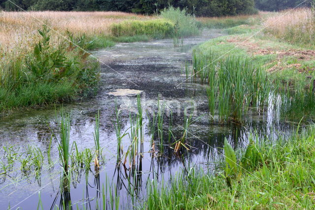 Beekdal Oude Diep Het Drentse Landschap