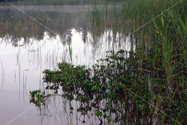 Beekdal Oude Diep Het Drentse Landschap