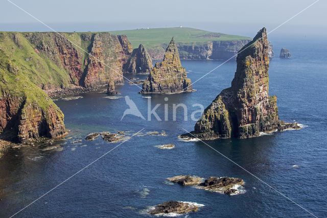 Duncansby Head