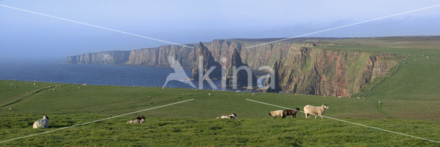 Duncansby Head