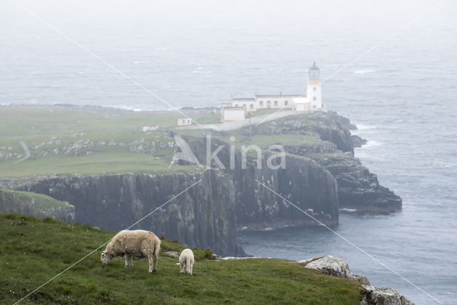 Neist Point Lighthouse