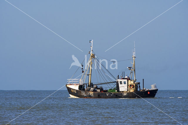 Noordzee