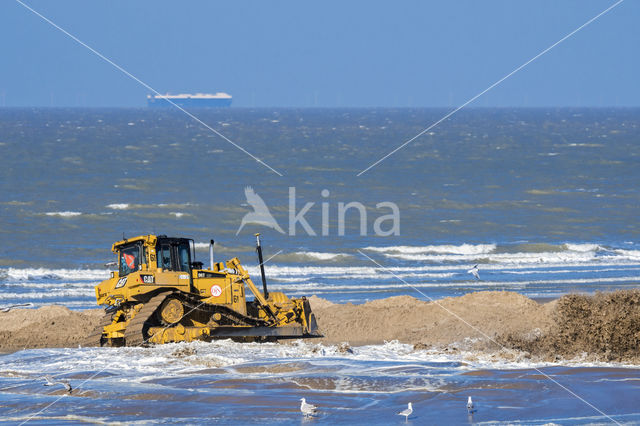 Noordzee