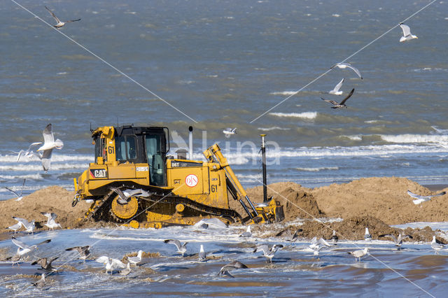 Noordzee