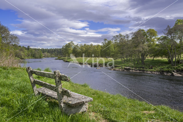 Spey river