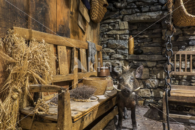 Shetland Museum & Archives