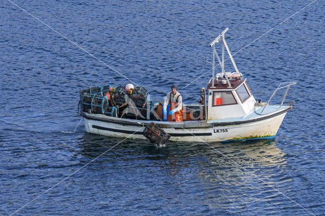 Shetland eilanden